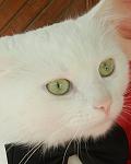     
: DSCN4555.jpg
: 2
:	51.9 
ID:	7218582