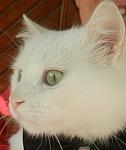     
: DSCN4558.jpg
: 2
:	56.5 
ID:	7218583