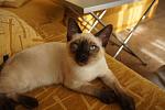     
: DSC00534.jpg
: 10
:	85.9 
ID:	7219483