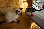     
: DSC00533.jpg
: 10
:	102.0 
ID:	7219489