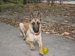     
: IMG_4427.jpg
: 13
:	213.6 
ID:	7223504