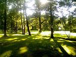    
: 547777777777i.jpg
: 6
:	11.3 
ID:	7223623