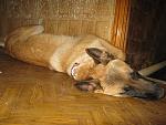     
: IMG_4258.jpg
: 12
:	170.4 
ID:	7223677