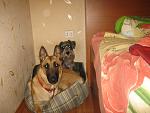     
: IMG_4413.jpg
: 13
:	122.0 
ID:	7223678