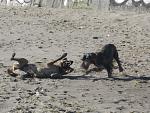     
: IMG_4405.jpg
: 15
:	170.8 
ID:	7223679