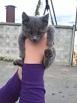     
: ME0wcZFQRSM.jpg
: 46
:	118.5 
ID:	7225214