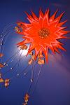     
: DSC02943.jpg
: 3
:	67.1 
ID:	7225597