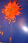     
: DSC02944.jpg
: 8
:	66.7 
ID:	7225598