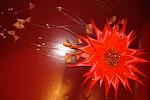     
: DSC02942.jpg
: 7
:	88.6 
ID:	7225601