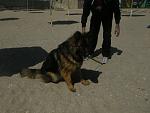     
: DSCN4032.jpg
: 15
:	144.6 
ID:	7226146