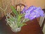     
: 20131118_205958.jpg
: 30
:	139.0 
ID:	7226201
