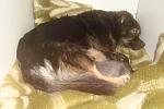     
: DSC09381.jpg
: 7
:	92.3 
ID:	7226593