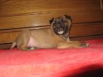     
: IMG_5955.JPG
: 69
:	185.4 
ID:	723014
