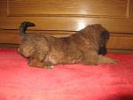     
: IMG_5957.JPG
: 58
:	212.7 
ID:	723016