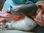     
: 2013-11-08 10.07.06.jpg
: 27
:	154.8 
ID:	7231114
