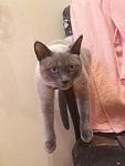     
: 2013-10-31 10.24.04.jpg
: 10
:	83.5 
ID:	7231160