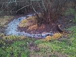     
: 2013-11-03 15.18.41.jpg
: 6
:	266.4 
ID:	7232000
