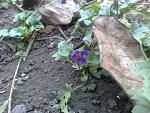     
: 18112013399.jpg
: 6
:	65.2 
ID:	7232328