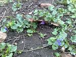     
: 18112013398.jpg
: 9
:	93.7 
ID:	7232329