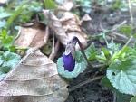     
: 18112013400.jpg
: 7
:	52.6 
ID:	7232330