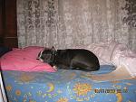     
: IMG_1591.jpg
: 27
:	147.8 
ID:	723514
