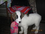     
: IMG_1606.jpg
: 25
:	104.3 
ID:	723515