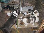     
: IMG_1618.jpg
: 30
:	172.9 
ID:	723519