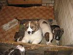     
: IMG_1619.jpg
: 28
:	148.9 
ID:	723521
