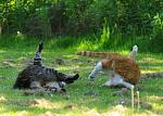     
: post-3-12302596121215.jpg
: 10
:	56.5 
ID:	723897