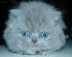     
: post-13-1045479207.jpg
: 11
:	23.1 
ID:	723905