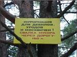     
: x_371b5e67.jpg
: 54
:	57.0 
ID:	723972