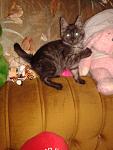     
: 20131114_212347.jpg
: 5
:	74.3 
ID:	7240578