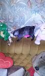     
: CAM00484.jpg
: 6
:	63.0 
ID:	7240582