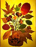     
: фото2.jpg
: 11
:	124.8 
ID:	7240729