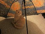     
: IMG_3811.jpg
: 4
:	178.2 
ID:	7242507