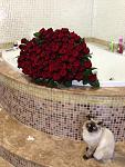     
: IMG_1741.jpg
: 9
:	118.5 
ID:	7242511