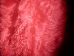     
: PB220041.jpg
: 8
:	118.7 
ID:	7244515