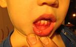     
: IMG_0191.jpg
: 49
:	65.0 
ID:	7248917
