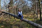     
: DSC_0598.jpg
: 11
:	303.3 
ID:	7249210