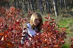     
: DSC_0608.jpg
: 9
:	189.4 
ID:	7249218