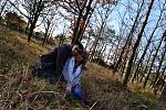     
: DSC_0618.jpg
: 13
:	304.0 
ID:	7249220