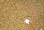     
: IMG_3077.jpg
: 42
:	190.8 
ID:	7249844