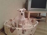     
: 2013-11-20 22.17.47.jpg
: 7
:	80.5 
ID:	7250416