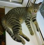     
: 070720133048.jpg
: 13
:	61.7 
ID:	7256558
