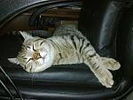     
: 060720133039.jpg
: 10
:	81.2 
ID:	7256560