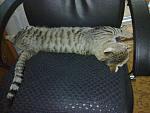     
: 060720133037.jpg
: 16
:	77.0 
ID:	7256561