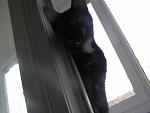     
: P1010559.jpg
: 7
:	51.2 
ID:	7256625