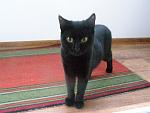     
: P1010585.jpg
: 5
:	129.9 
ID:	7256626