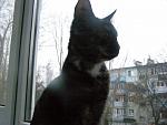     
: P1010582.jpg
: 5
:	130.9 
ID:	7256631