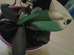     
: 20131124_165427.jpg
: 9
:	93.7 
ID:	7259468